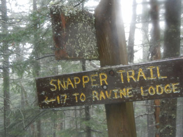 16-56 Snapper Trail