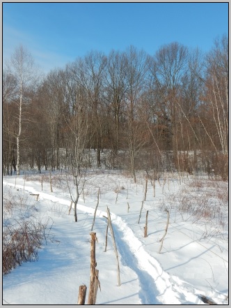Concatenation Road in Winter